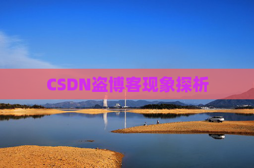 CSDN盗博客现象探析
